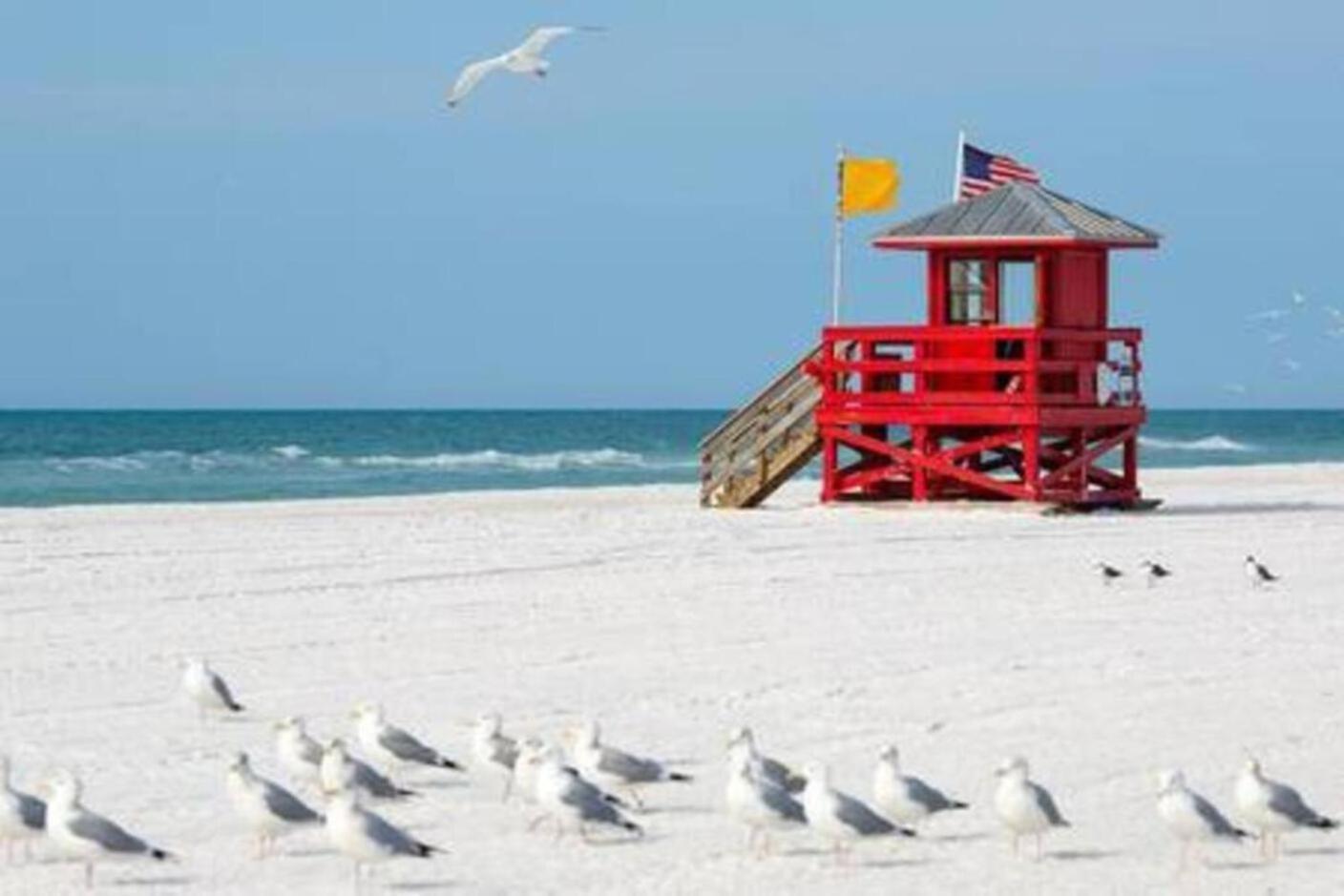 Fantastic Island House 1 Mile To The Beach With Heated Pool Sarasota Extérieur photo
